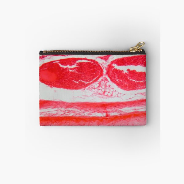 Item preview, Trachea Cells under the Microscope designed and sold by Zosimus.