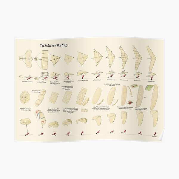 The Evolution of Our Wings Poster