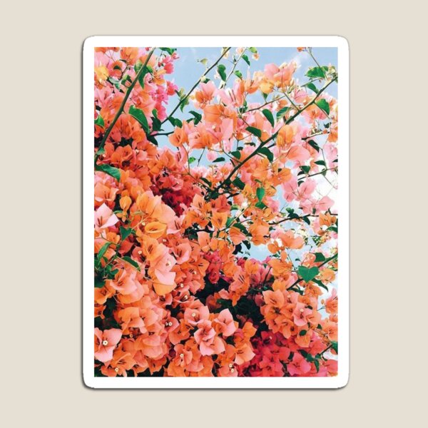 Aperçu de l'œuvre Ciel orange créée et vendue par starrily.