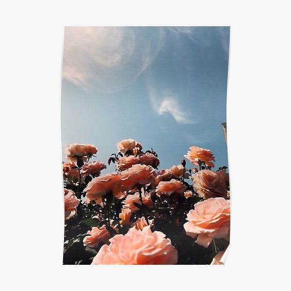 Roses Posters Redbubble - roblox black rose cloudy girl pics