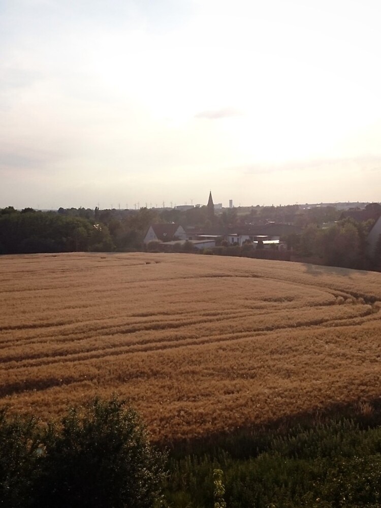 Baalberge, Landschaftsbild von Gourmetkater