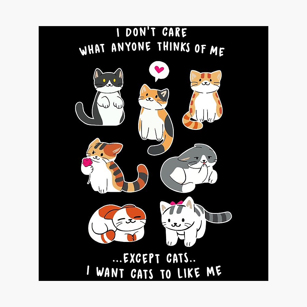 Funny Cat Lovers Just Want Cats To Like Me Poster By Teedoozy Redbubble