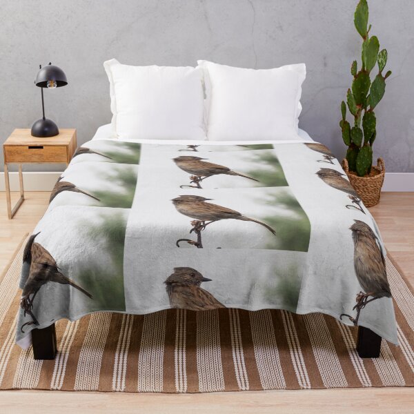 Item preview, Dunnock Bird n the gardens at Lyme Dorset UK designed and sold by lynn carter.
