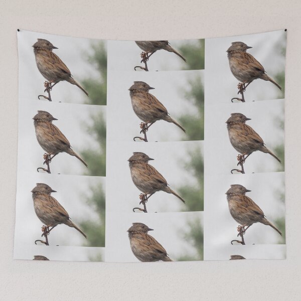 Item preview, Dunnock Bird n the gardens at Lyme Dorset UK designed and sold by lynn carter.