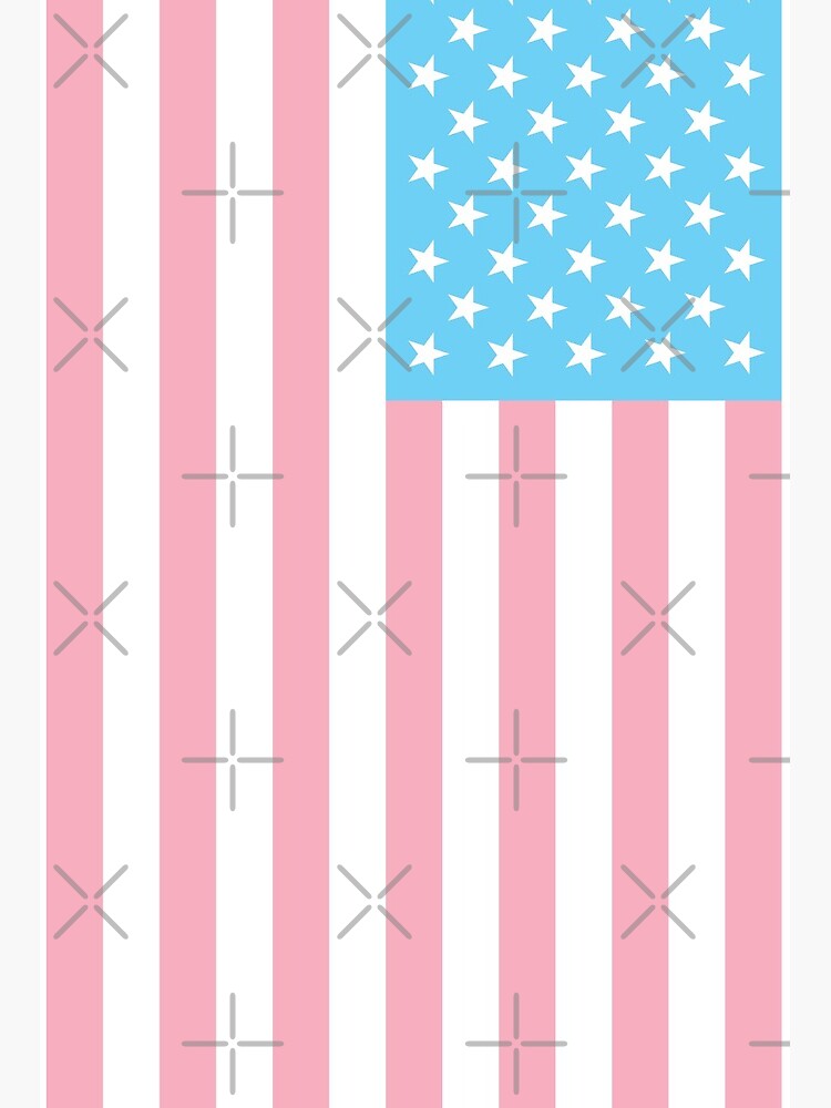 TRANSGENDER USA FLAG (alt. angle) - PALE BLUE, WHITE AND PINK TRANSGENDER  FLAG Art Board Print for Sale by Clifford Hayes