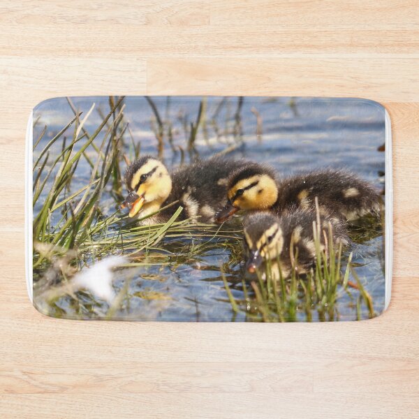 Item preview, Hungry ducklings designed and sold by GreyFeatherPhot.