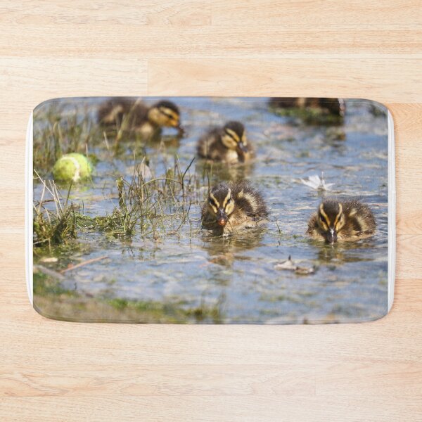 Item preview, Ducklings designed and sold by GreyFeatherPhot.