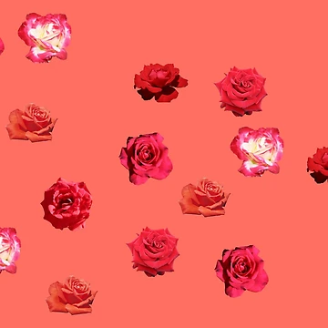Artwork thumbnail, Red Roses by STHogan