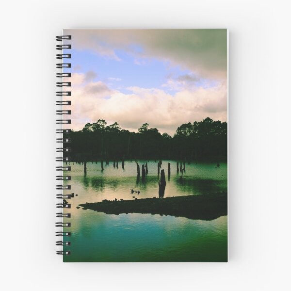 Item preview, The Old Dam, Waratah Tasmania  designed and sold by taspaul.