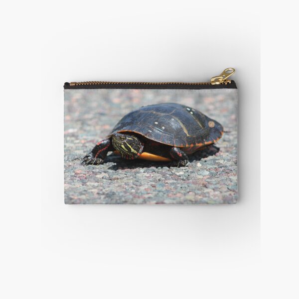 Item preview, Turtle Crossing designed and sold by Martha Medford.