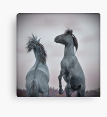 Own Two Feet Canvas Print