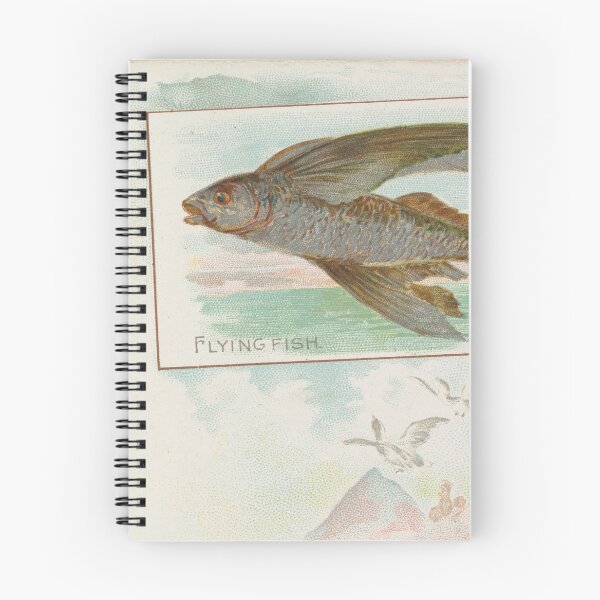 Item preview, Vintage Barbados Flying Fish Illustration (1889) designed and sold by BravuraMedia.