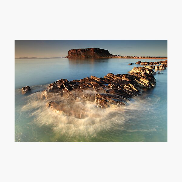 the blue Nut.... Photographic Print