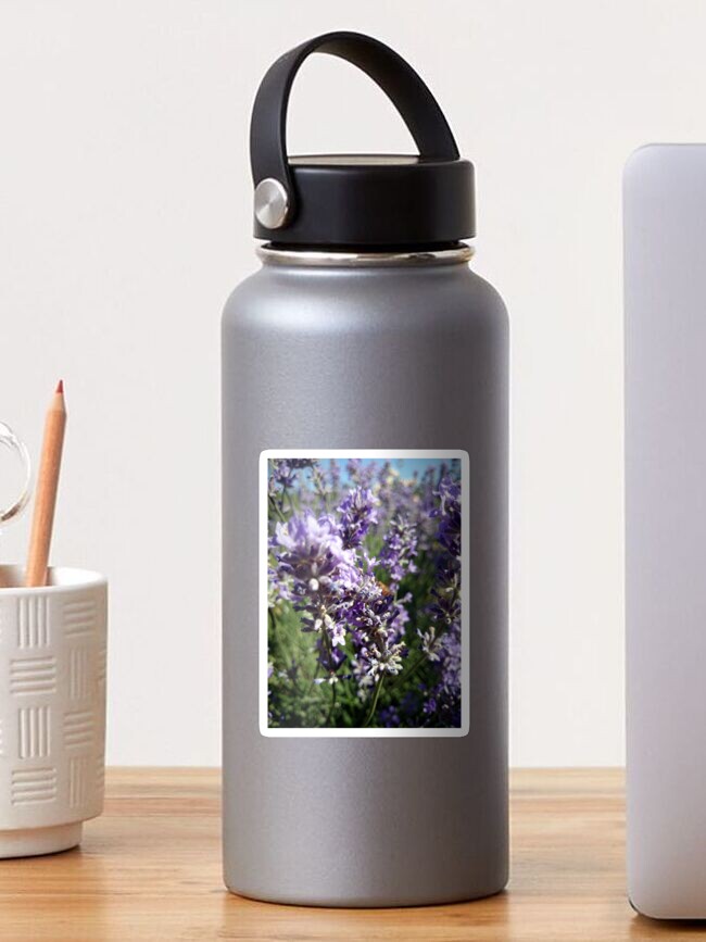 Thumbnail 1 von 3, Sticker, Lavendel designt und verkauft von Gourmetkater.