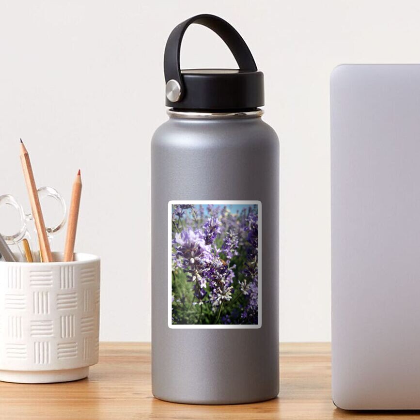 Lavendel Sticker