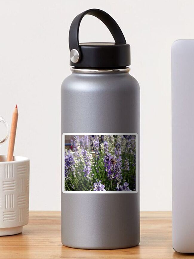 Thumbnail 1 von 3, Sticker, Lavendel designt und verkauft von Gourmetkater.