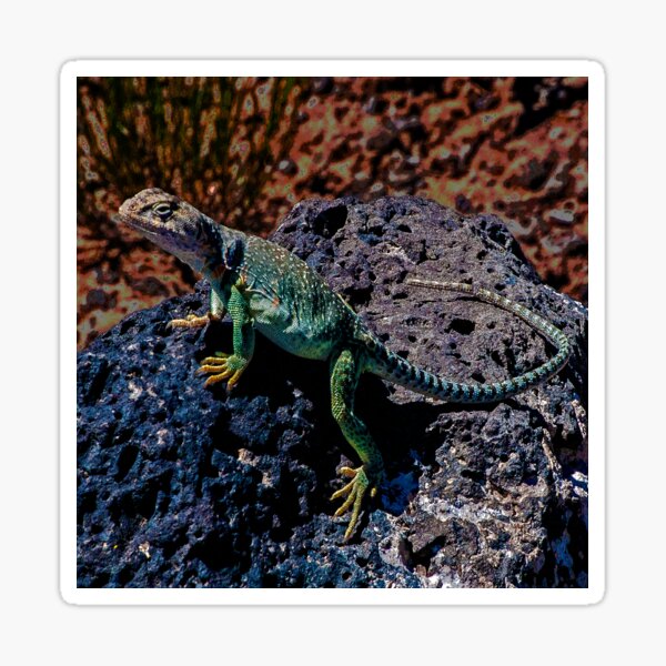 Item preview, New Mexico Lizard designed and sold by William E Lopez.