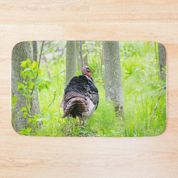 Item preview, Wild turkey in spring forest designed and sold by James Cumming.