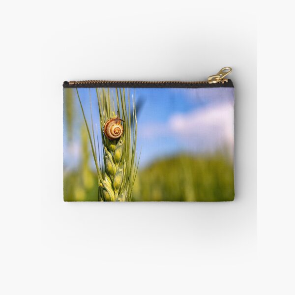 Item preview, Garden snail sitting on a green spikelet of wheat close-up on a blurred green background. designed and sold by EG Creativity Art.