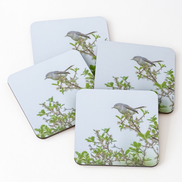 Item preview, Gnatcatcher On Greenery designed and sold by Debra Martz.