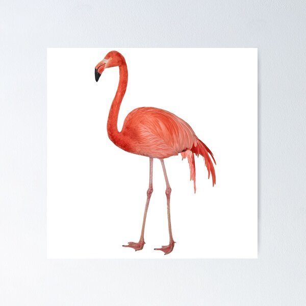 Item preview, Flamingo tropical  bird design designed and sold by Hvll1116.