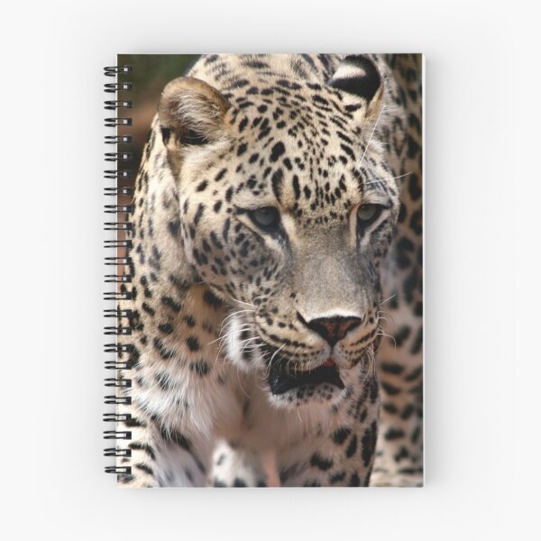 Item preview, Persian Leopard designed and sold by jwwallace.