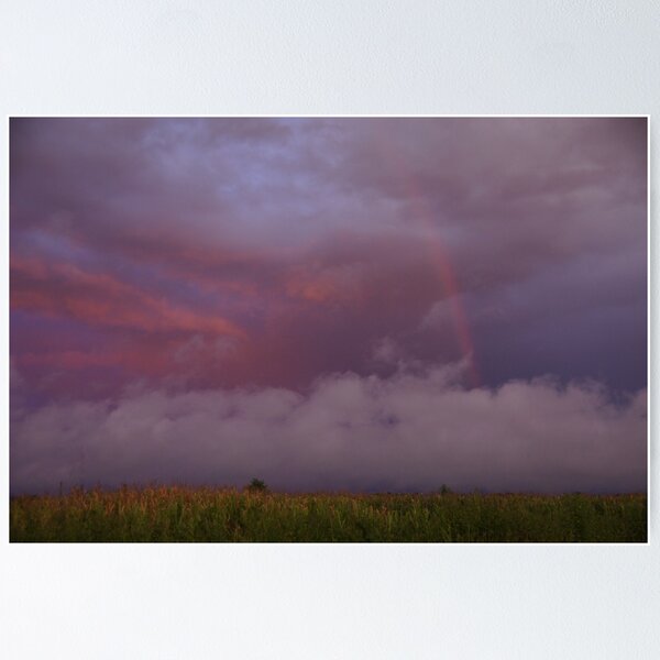 Item preview, After the Storm designed and sold by tcat757.