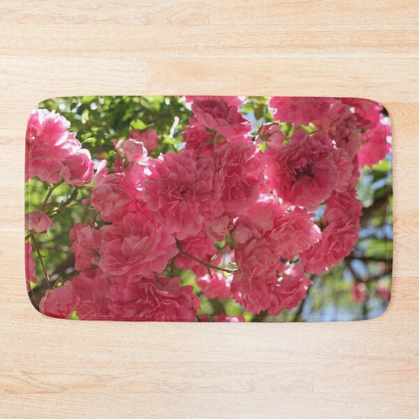 Item preview, Nature, flower, roses, pink, shrub, photography, BebiCervin designed and sold by BebiCervin.