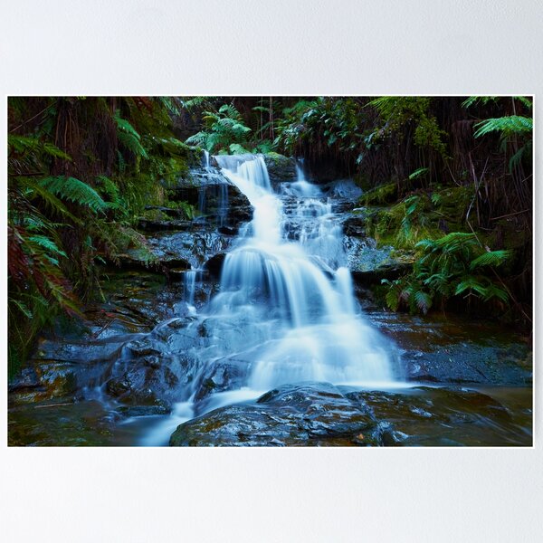 Item preview, Leura Cascades - Blue Mountains NSW designed and sold by Mark Lucey.