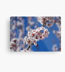 Bluesky Flowers Metal Print