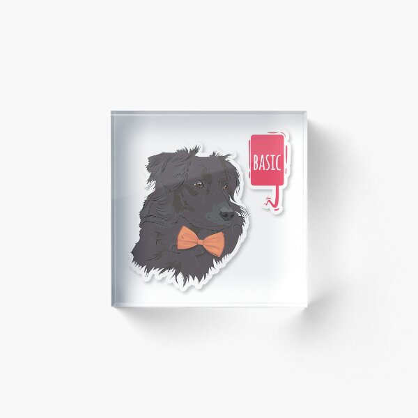 Hipster Black Collie "Basic" Acrylic Block