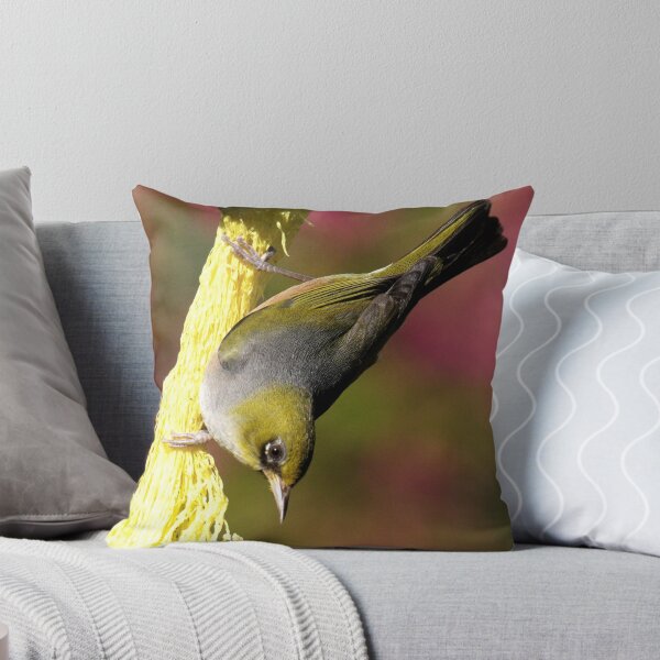Item preview, Silver Eye.........keeping in fashion with the colours......! designed and sold by Roy  Massicks.