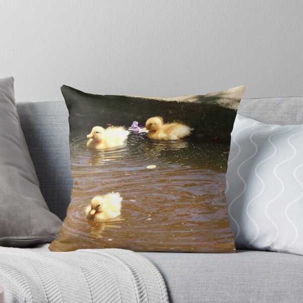 Item preview, Animals, Duck, Cubs, Photography, BebiCervin designed and sold by BebiCervin.