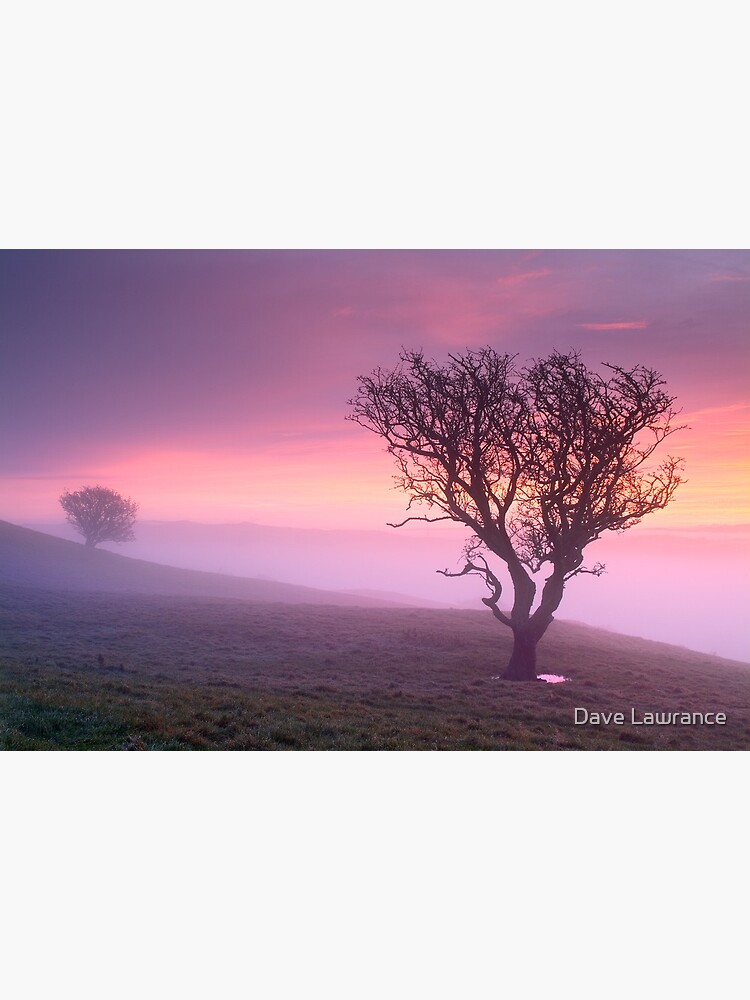 Misty sunrise, The Helm - Cumbria by DLLP