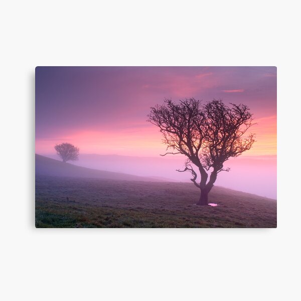 Misty sunrise, The Helm - Cumbria Canvas Print
