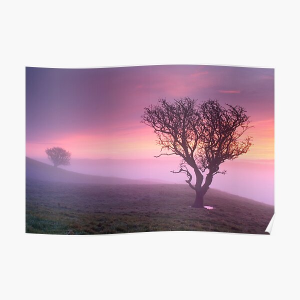Misty sunrise, The Helm - Cumbria Poster
