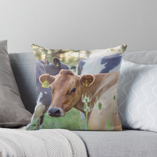 Item preview, Jersey Cow #559 designed and sold by KarenWoodArt.
