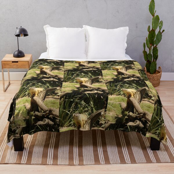 Item preview, Nature, Animal, Africa, South Africa, Monkey, Photography, BebiCervin designed and sold by BebiCervin.