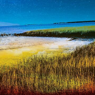 Artwork thumbnail, Charleston coast by kcrystalfriend