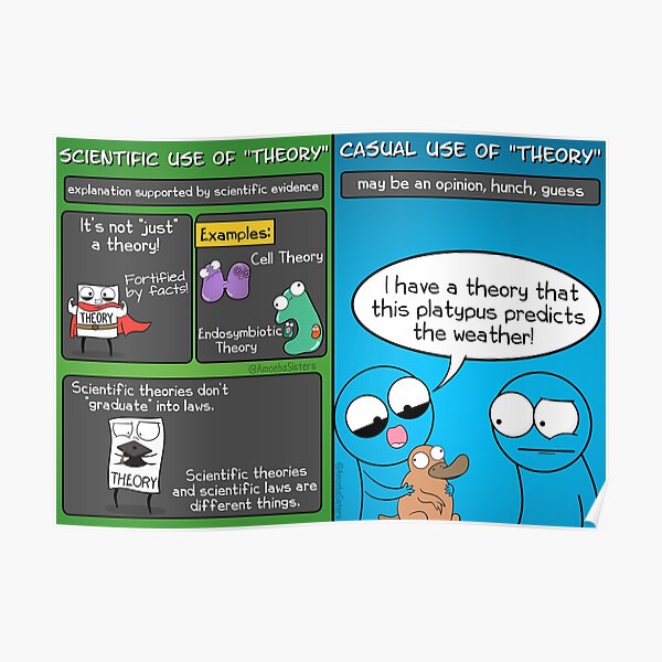 Casual and Scientific Use of Theory Poster