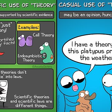 Artwork thumbnail, Casual and Scientific Use of Theory  by amoebasisters