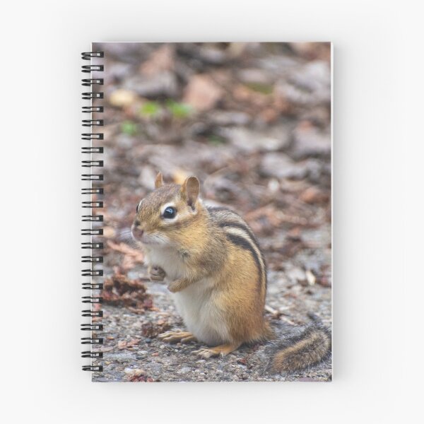 Item preview, Chipmunk designed and sold by ame814.