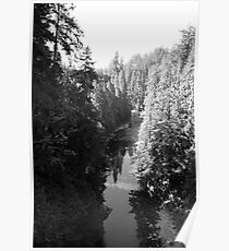 Tranquility Poster