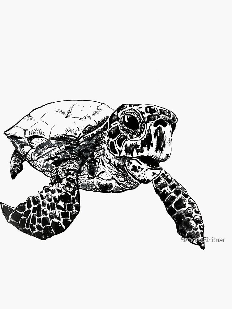 Thumbnail 3 of 3, Sticker, Hawksbill Sea Turtle designed and sold by SandraEichner.