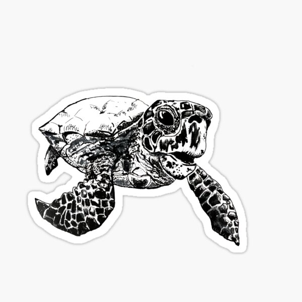 Hawksbill Sea Turtle Sticker
