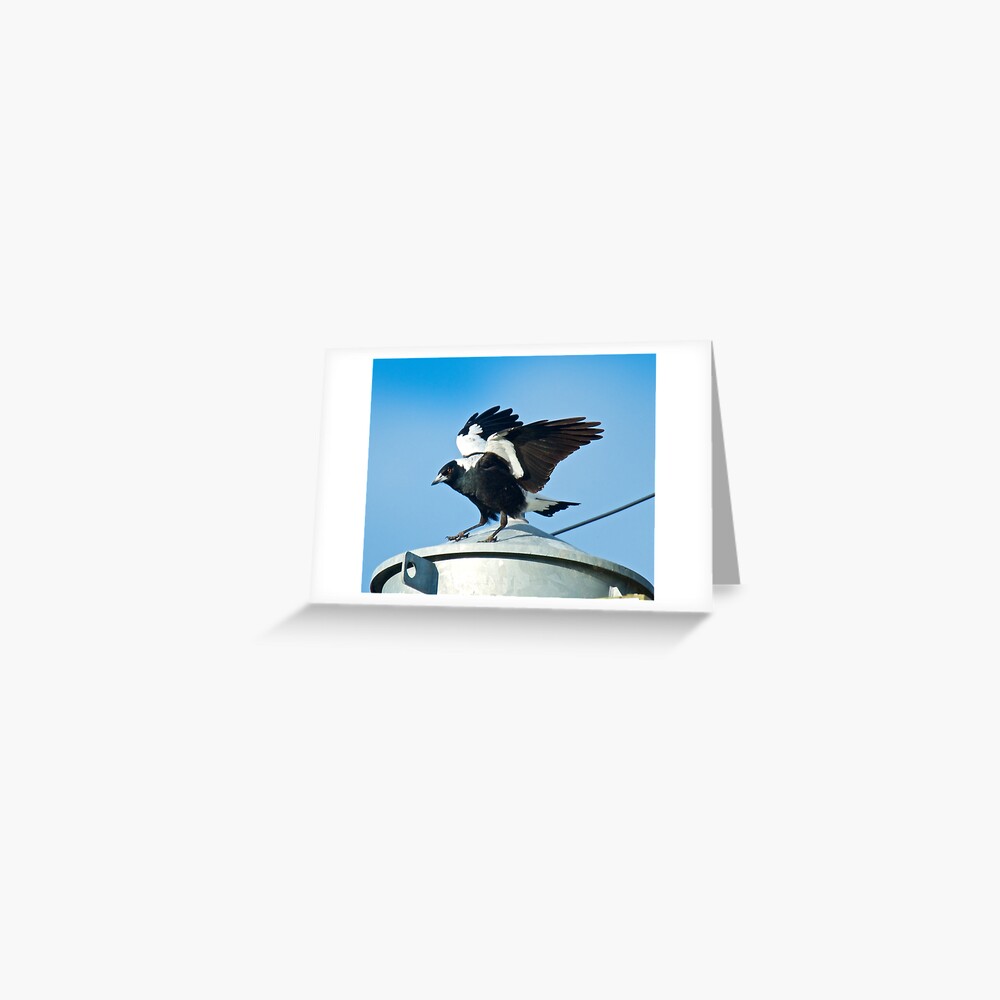Item preview, Greeting Card designed and sold by tasmanianartist.