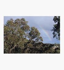 Late Rain Bow Photographic Print