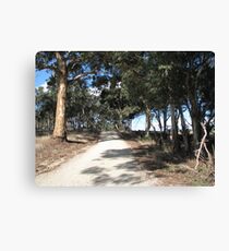 Country Road Canvas Print