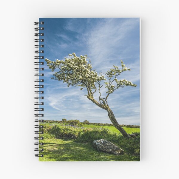 Item preview, Mountain Ash Tree Spring Pembrokeshire West Wales close to Pentre Ifan Burial Chamber designed and sold by Cameranick.