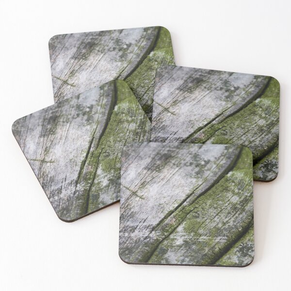 Item preview, Moss and Wood designed and sold by Lydia Planalp.